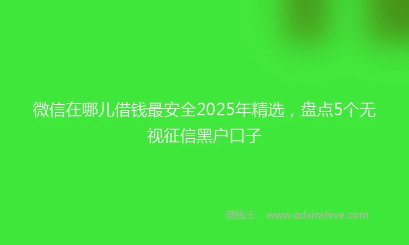微信在哪儿借钱最安全2025年精选，盘点5个无视征信黑户口子