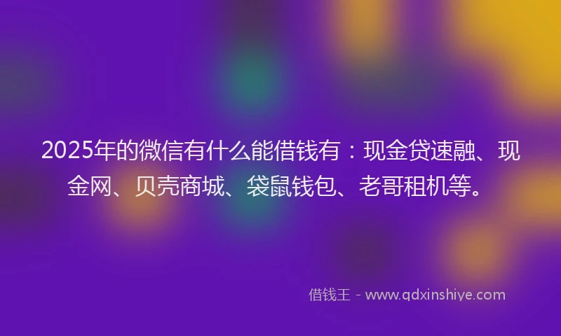 2025年的微信有什么能借钱有：现金贷速融、现金网、贝壳商城、袋鼠钱包、老哥租机等。