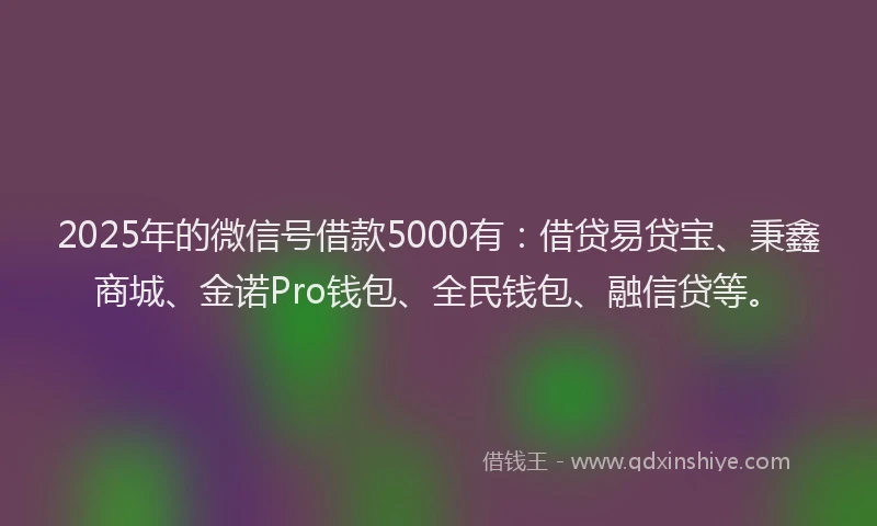 2025年的微信号借款5000有：借贷易贷宝、秉鑫商城、金诺Pro钱包、全民钱包、融信贷等。