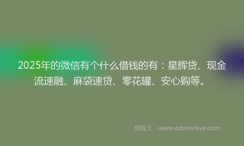 2025年的微信有个什么借钱的有：星辉贷、现金流速融、麻袋速贷、零花罐、安心购等。