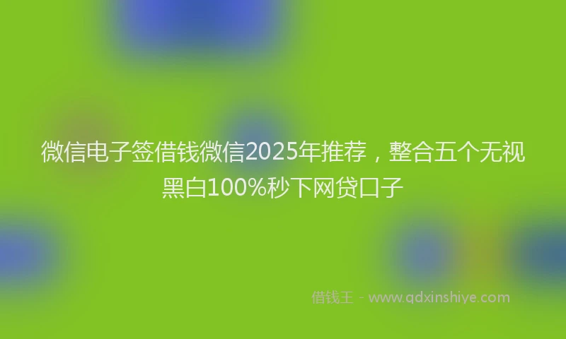 微信电子签借钱微信2025年推荐，整合五个无视黑白100%秒下网贷口子