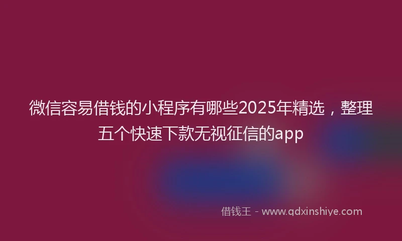 微信容易借钱的小程序有哪些2025年精选，整理五个快速下款无视征信的app