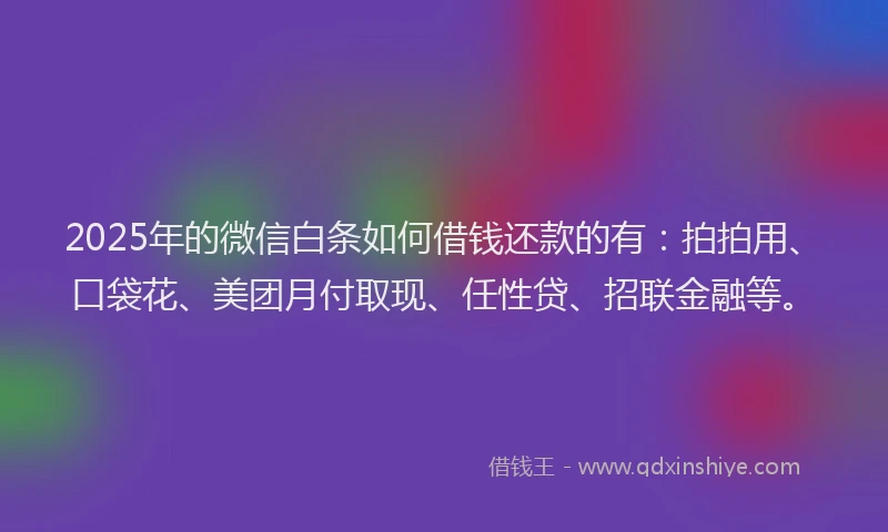 2025年的微信白条如何借钱还款的有：拍拍用、口袋花、美团月付取现、任性贷、招联金融等。