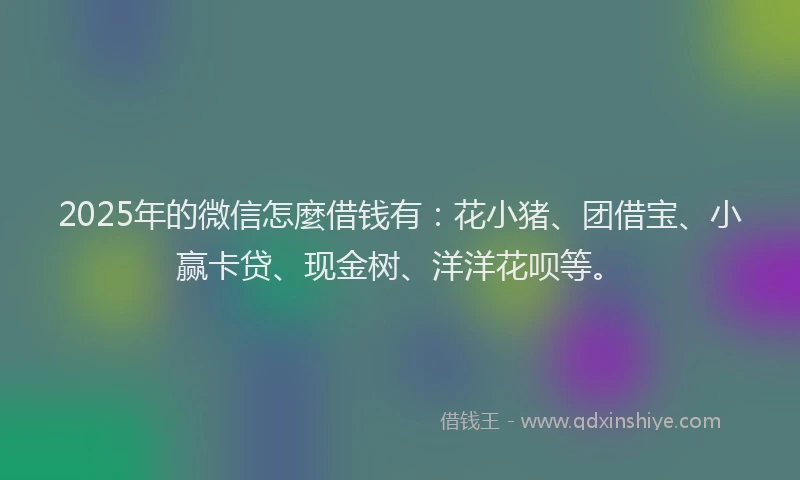 2025年的微信怎麼借钱有：花小猪、团借宝、小赢卡贷、现金树、洋洋花呗等。