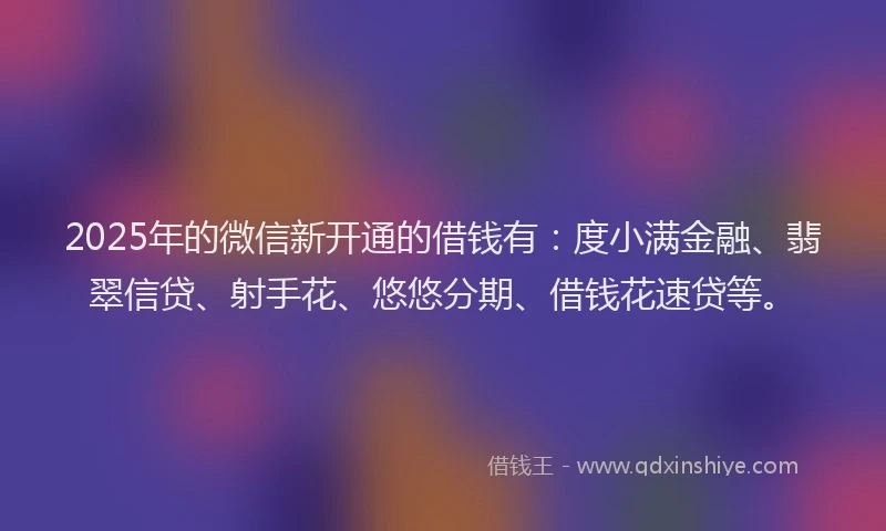 2025年的微信新开通的借钱有：度小满金融、翡翠信贷、射手花、悠悠分期、借钱花速贷等。