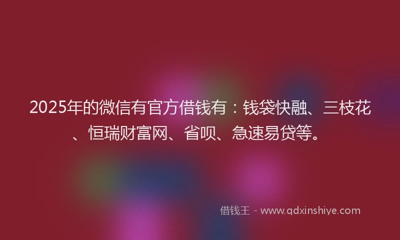 2025年的微信有官方借钱有：钱袋快融、三枝花、恒瑞财富网、省呗、急速易贷等。