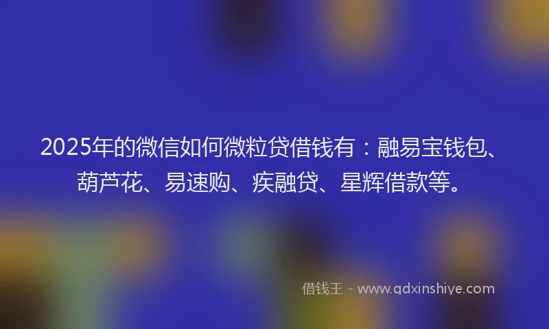 2025年的微信如何微粒贷借钱有：融易宝钱包、葫芦花、易速购、疾融贷、星辉借款等。