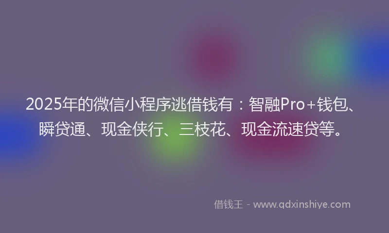 2025年的微信小程序逃借钱有：智融Pro+钱包、瞬贷通、现金侠行、三枝花、现金流速贷等。