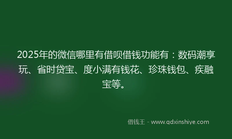 2025年的微信哪里有借呗借钱功能有：数码潮享玩、省时贷宝、度小满有钱花、珍珠钱包、疾融宝等。