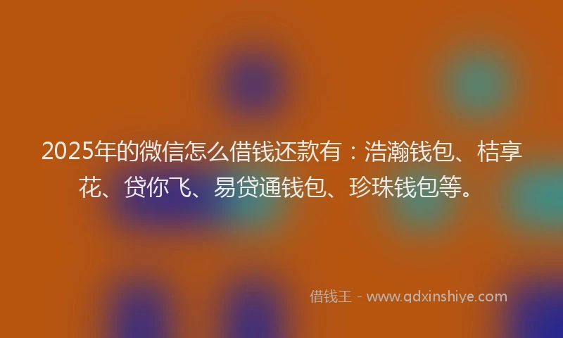 2025年的微信怎么借钱还款有：浩瀚钱包、桔享花、贷你飞、易贷通钱包、珍珠钱包等。