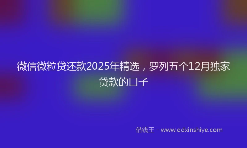 微信微粒贷还款2025年精选，罗列五个12月独家贷款的口子