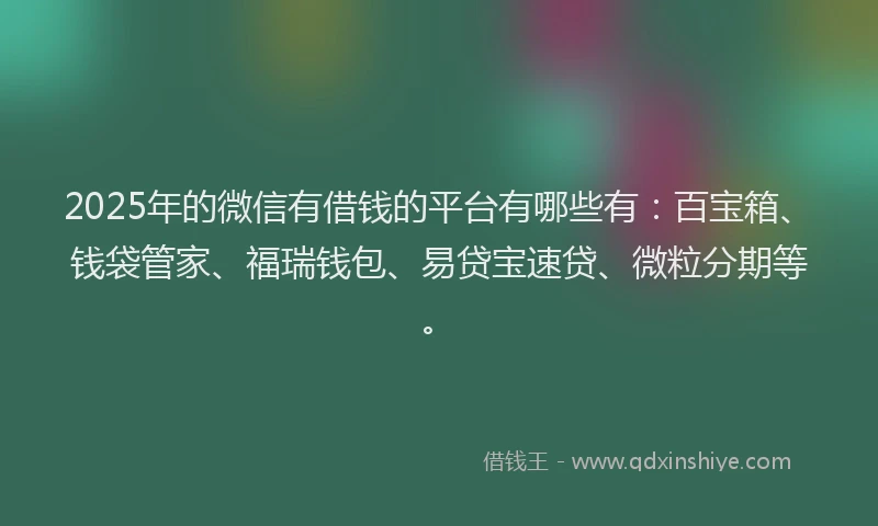 2025年的微信有借钱的平台有哪些有：百宝箱、钱袋管家、福瑞钱包、易贷宝速贷、微粒分期等。