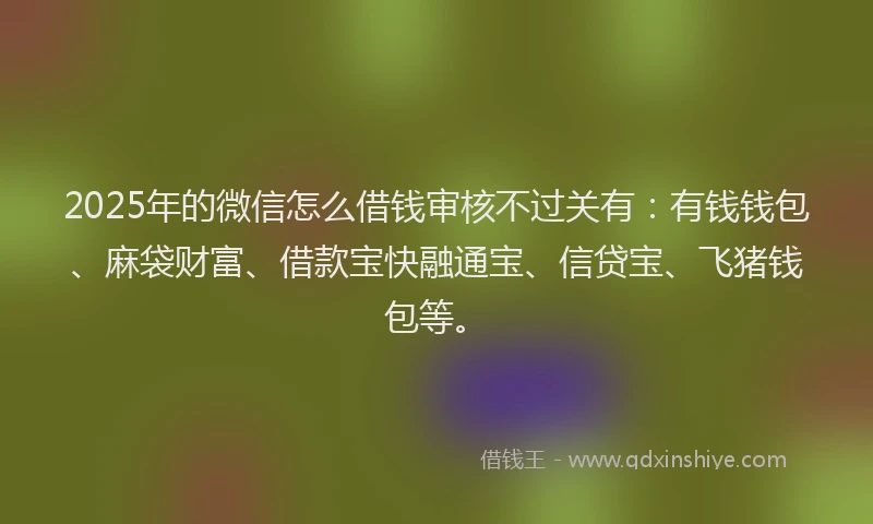 2025年的微信怎么借钱审核不过关有：有钱钱包、麻袋财富、借款宝快融通宝、信贷宝、飞猪钱包等。