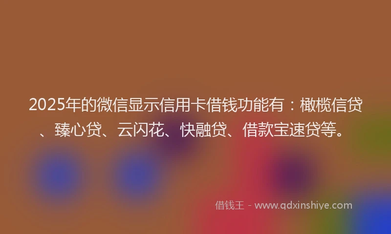 2025年的微信显示信用卡借钱功能有：橄榄信贷、臻心贷、云闪花、快融贷、借款宝速贷等。