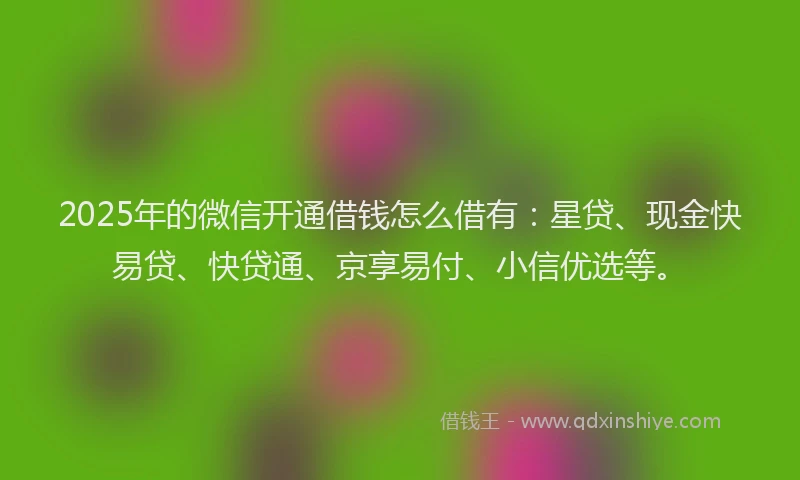 2025年的微信开通借钱怎么借有：星贷、现金快易贷、快贷通、京享易付、小信优选等。