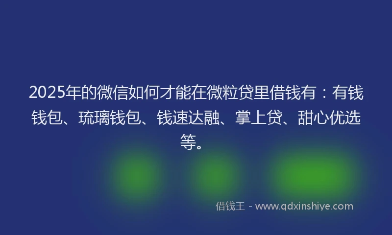 2025年的微信如何才能在微粒贷里借钱有：有钱钱包、琉璃钱包、钱速达融、掌上贷、甜心优选等。