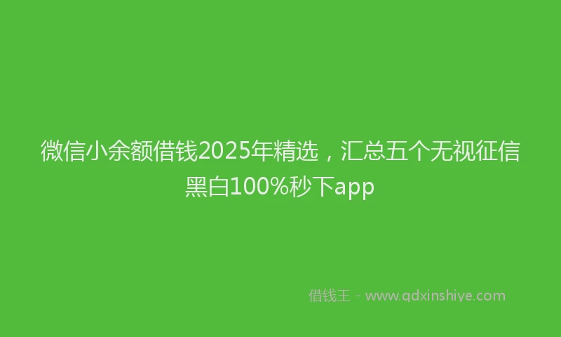微信小余额借钱2025年精选，汇总五个无视征信黑白100%秒下app