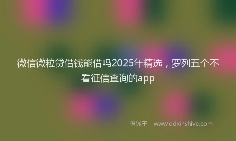 微信微粒贷借钱能借吗2025年精选，罗列五个不看征信查询的app