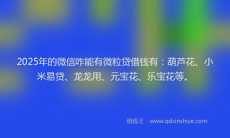 2025年的微信咋能有微粒贷借钱有：葫芦花、小米易贷、龙龙用、元宝花、乐宝花等。