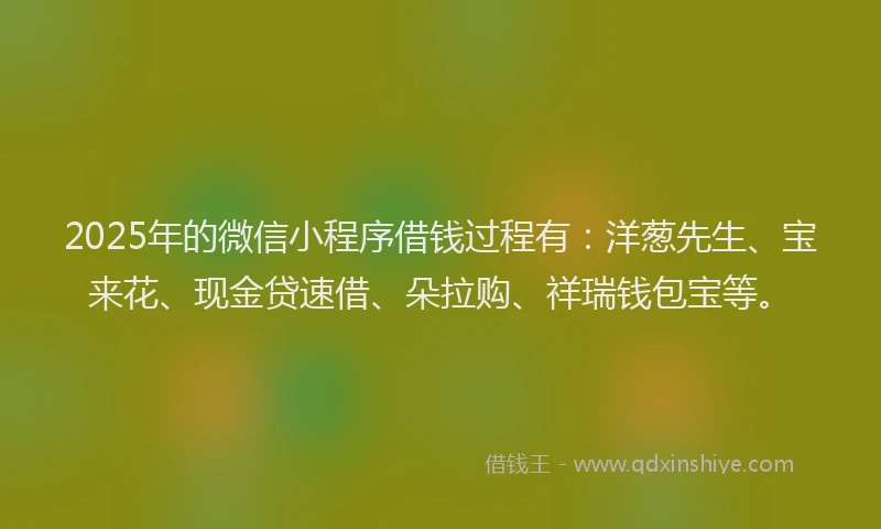 2025年的微信小程序借钱过程有：洋葱先生、宝来花、现金贷速借、朵拉购、祥瑞钱包宝等。