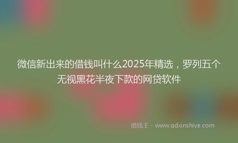 微信新出来的借钱叫什么2025年精选，罗列五个无视黑花半夜下款的网贷软件