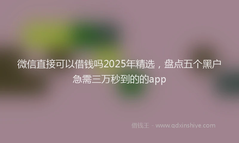 微信直接可以借钱吗2025年精选，盘点五个黑户急需三万秒到的的app