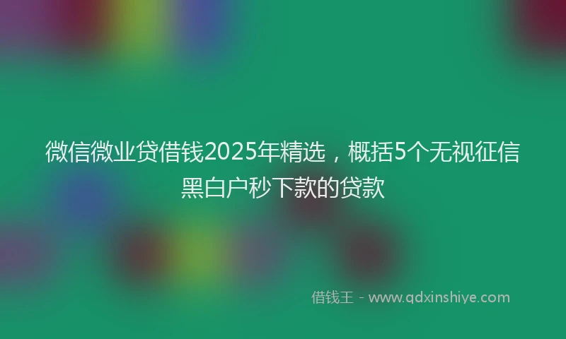微信微业贷借钱2025年精选，概括5个无视征信黑白户秒下款的贷款