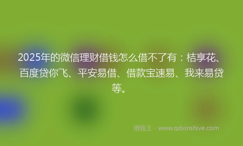 2025年的微信理财借钱怎么借不了有：桔享花、百度贷你飞、平安易借、借款宝速易、我来易贷等。