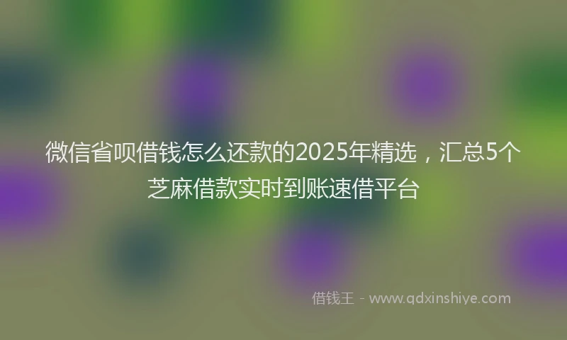 微信省呗借钱怎么还款的2025年精选，汇总5个芝麻借款实时到账速借平台