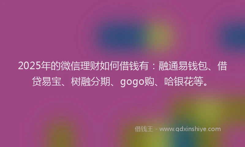 2025年的微信理财如何借钱有：融通易钱包、借贷易宝、树融分期、gogo购、哈银花等。
