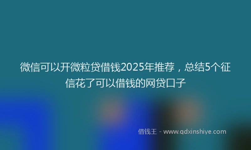 微信可以开微粒贷借钱2025年推荐，总结5个征信花了可以借钱的网贷口子