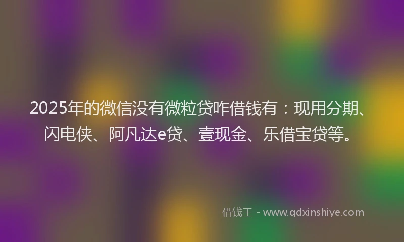2025年的微信没有微粒贷咋借钱有：现用分期、闪电侠、阿凡达e贷、壹现金、乐借宝贷等。