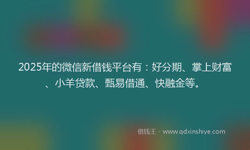 2025年的微信新借钱平台有：好分期、掌上财富、小羊贷款、甄易借通、快融金等。