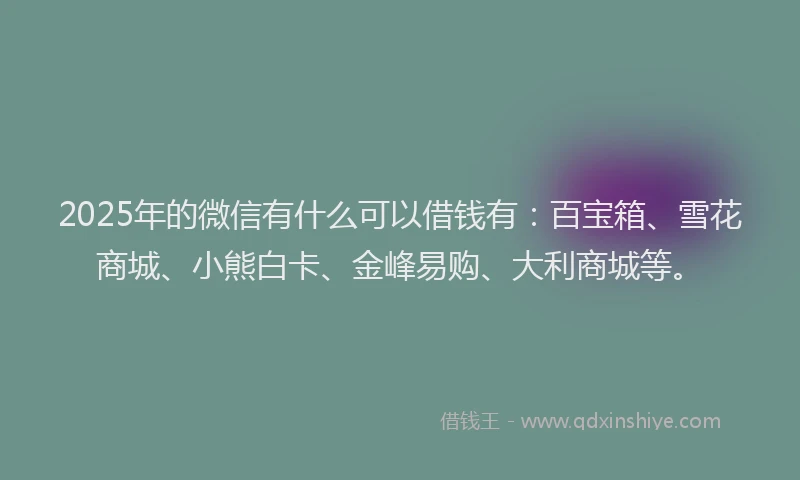 2025年的微信有什么可以借钱有：百宝箱、雪花商城、小熊白卡、金峰易购、大利商城等。