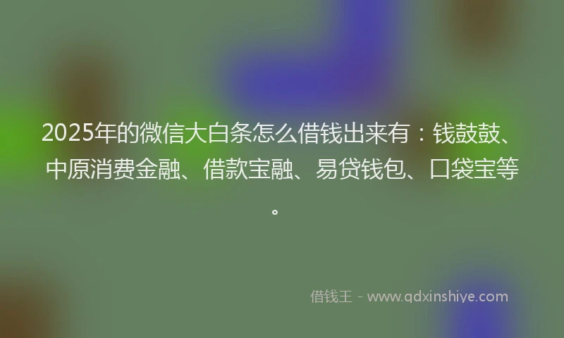 2025年的微信大白条怎么借钱出来有：钱鼓鼓、中原消费金融、借款宝融、易贷钱包、口袋宝等。