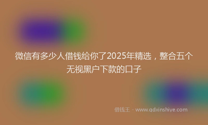 微信有多少人借钱给你了2025年精选，整合五个无视黑户下款的口子