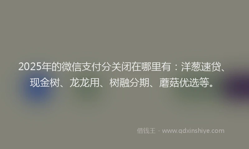 2025年的微信支付分关闭在哪里有：洋葱速贷、现金树、龙龙用、树融分期、蘑菇优选等。