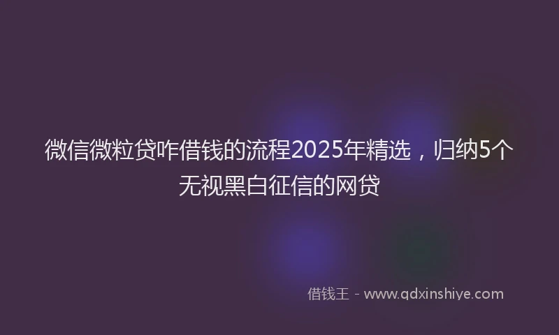 微信微粒贷咋借钱的流程2025年精选，归纳5个无视黑白征信的网贷