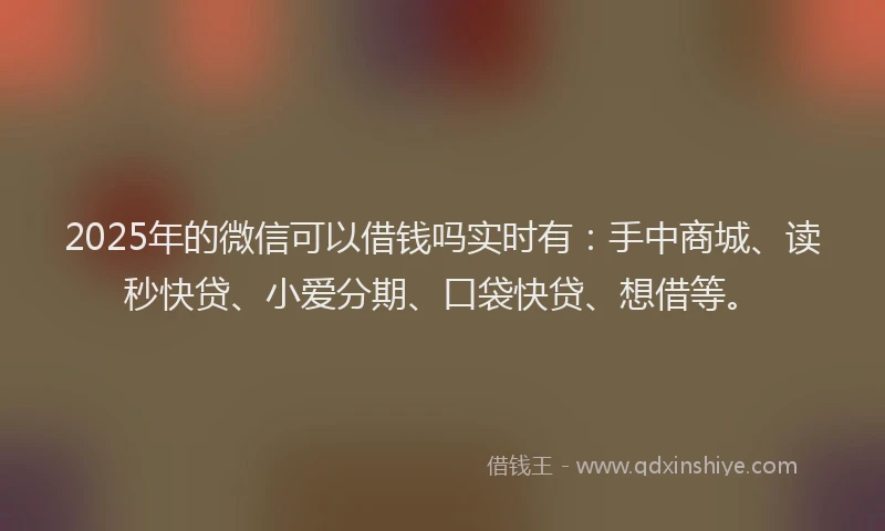 2025年的微信可以借钱吗实时有：手中商城、读秒快贷、小爱分期、口袋快贷、想借等。