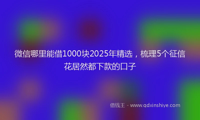 微信哪里能借1000块2025年精选，梳理5个征信花居然都下款的口子