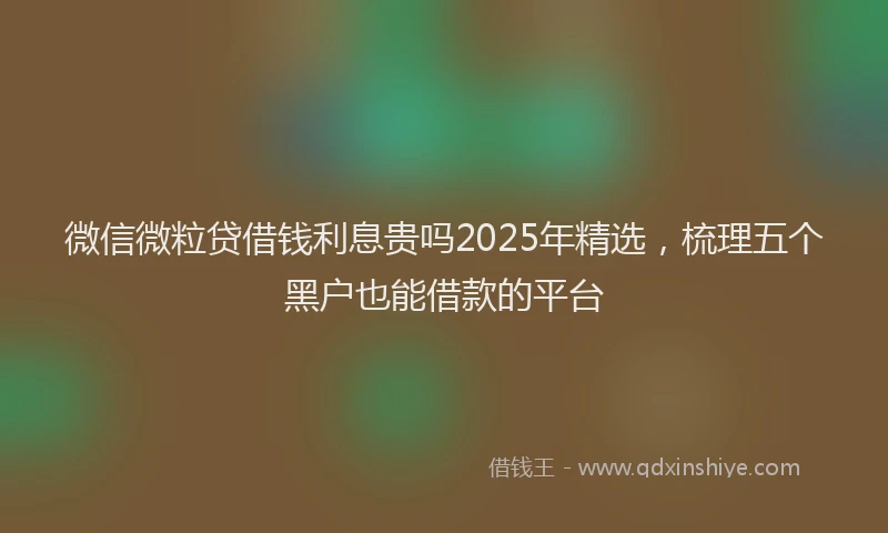 微信微粒贷借钱利息贵吗2025年精选，梳理五个黑户也能借款的平台