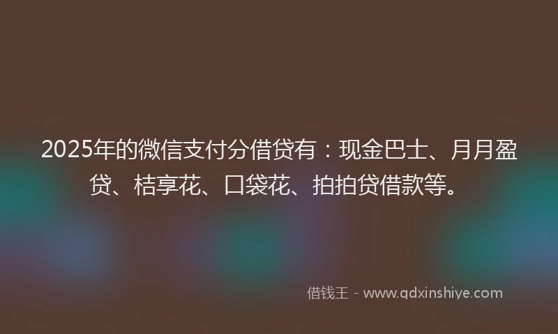 2025年的微信支付分借贷有：现金巴士、月月盈贷、桔享花、口袋花、拍拍贷借款等。