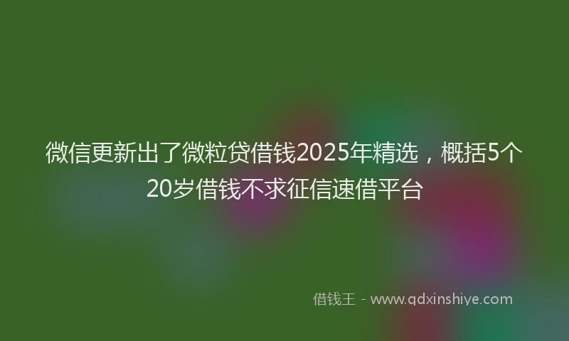 微信更新出了微粒贷借钱2025年精选，概括5个20岁借钱不求征信速借平台