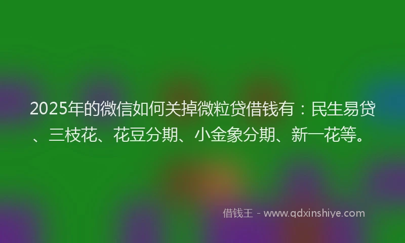 2025年的微信如何关掉微粒贷借钱有：民生易贷、三枝花、花豆分期、小金象分期、新一花等。