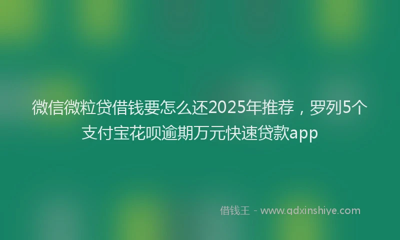 微信微粒贷借钱要怎么还2025年推荐，罗列5个支付宝花呗逾期万元快速贷款app