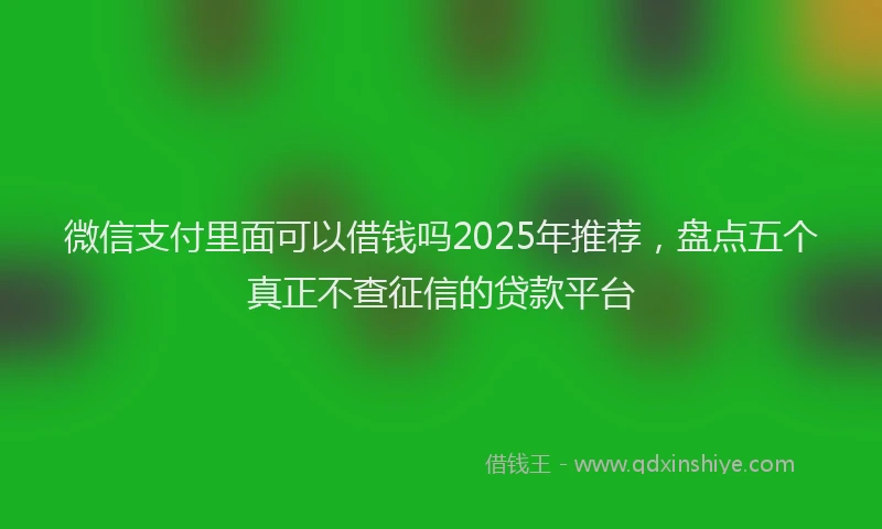 微信支付里面可以借钱吗2025年推荐，盘点五个真正不查征信的贷款平台