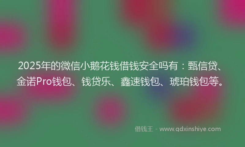 2025年的微信小鹅花钱借钱安全吗有：甄信贷、金诺Pro钱包、钱贷乐、鑫速钱包、琥珀钱包等。
