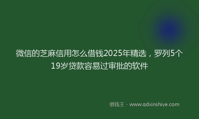 微信的芝麻信用怎么借钱2025年精选，罗列5个19岁贷款容易过审批的软件