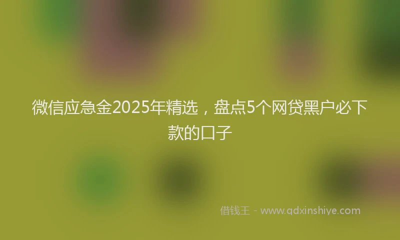 微信应急金2025年精选，盘点5个网贷黑户必下款的口子
