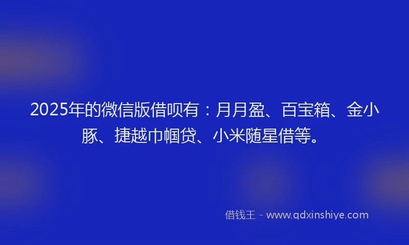 2025年的微信版借呗有：月月盈、百宝箱、金小豚、捷越巾帼贷、小米随星借等。